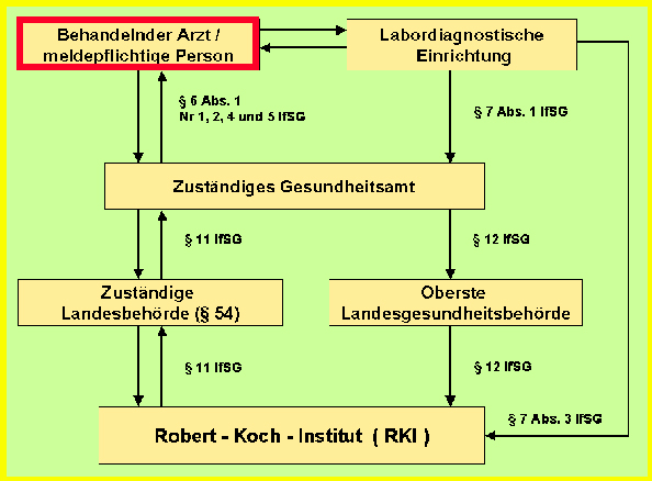 Das Organigramm der Meldepflicht ist dargestellt