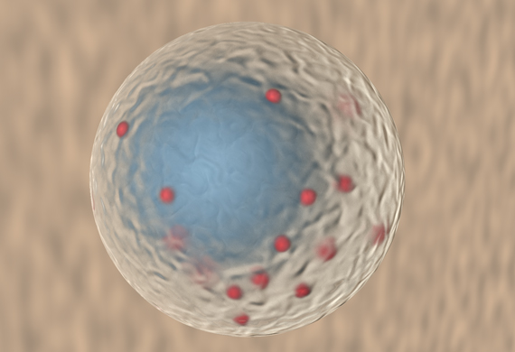 Copyright: Jacobs, Roland /KIR/MHH. Illustration of a natural killer cells with characteristic granules in red which contain cytolytic substances. Copyright: Jacobs, Roland /KIR/MHH