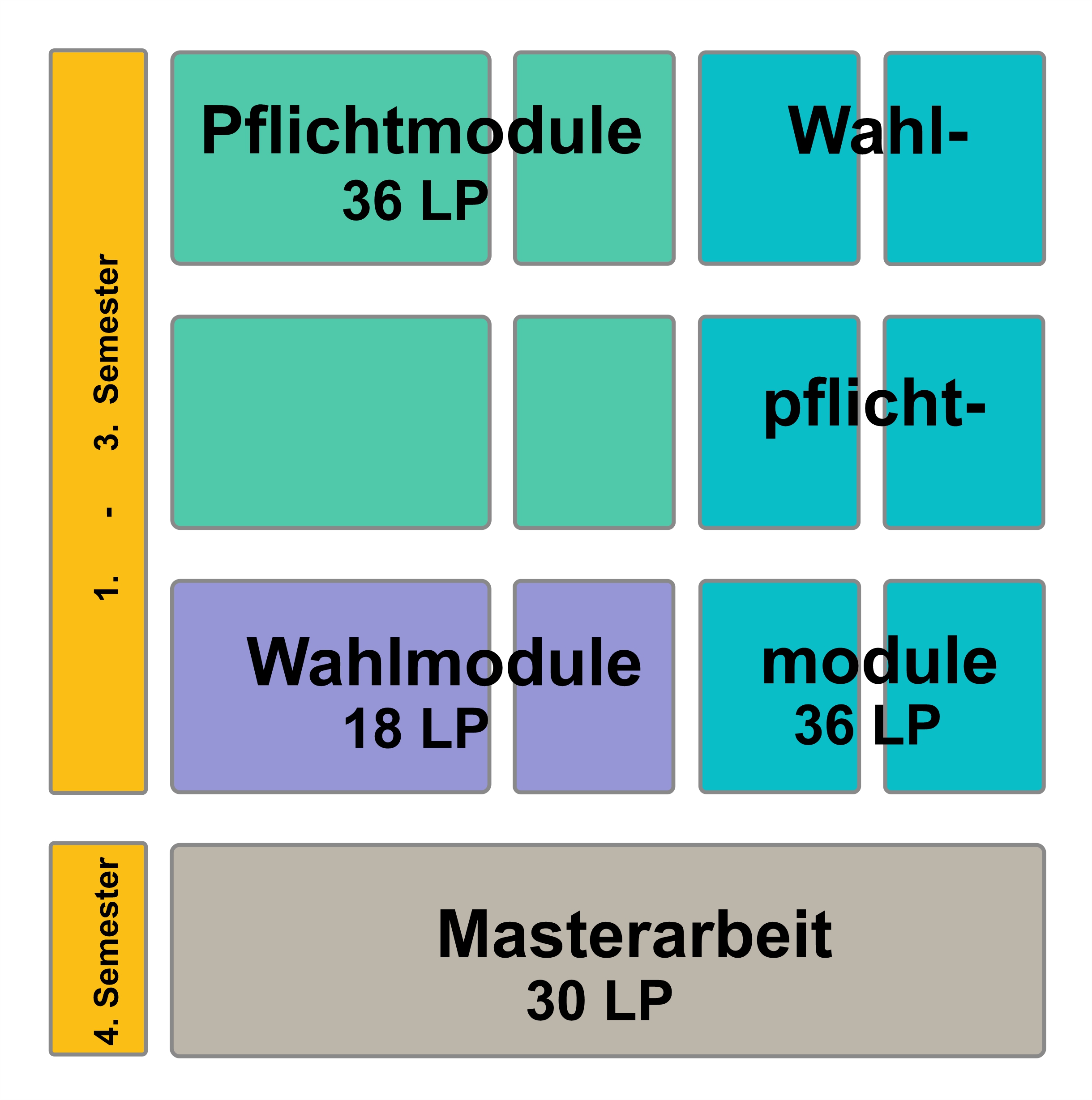 Graphische Zusammenstellung der Modularten im Master Biochemie mit einer Zuordnung des jeweiligen Umfangs in Leistungspunkten.