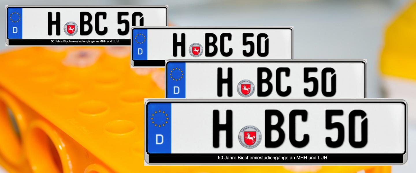 Mehrere Autokennzeichen H-BC 50 über dem Ausschnitt eines orange-gelben Reagenzgefäßständers