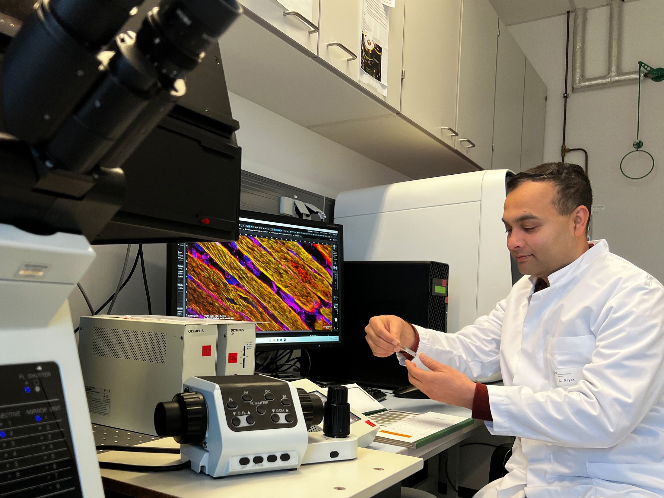 Copyright Tim Holler, MHH, MZP PD Arnab Nayak