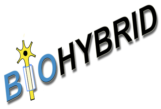 Biohybrid Logo