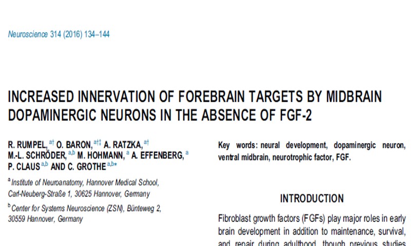Neuroscience