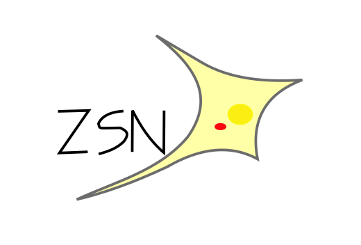 ZSN Logo