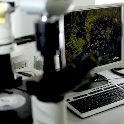 Laborcomputer auf einem Schreibtisch. Daneben ein Mikroskop.