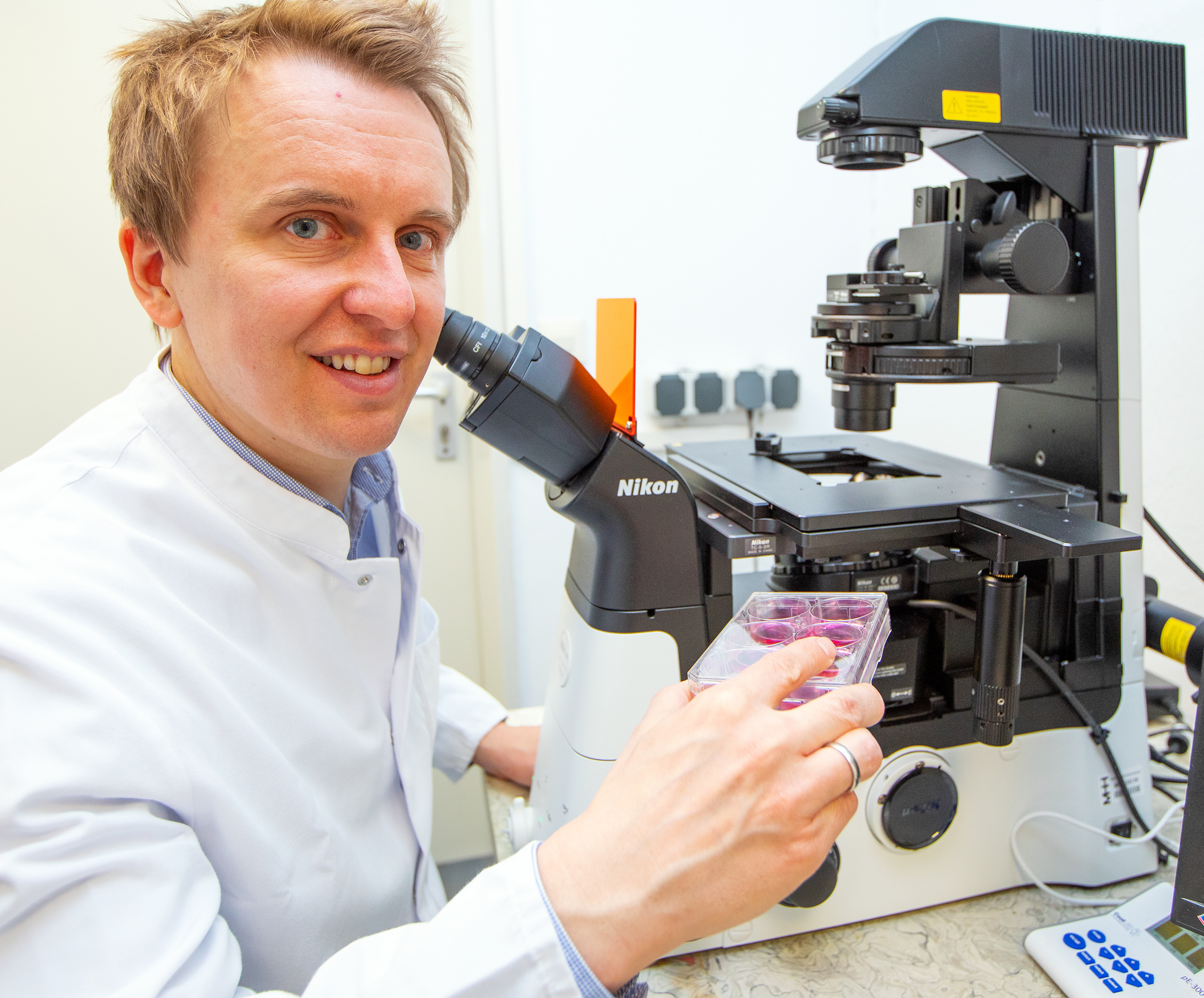 Professor Dr Ingmar Mederacke sits in front of a fluorescence microscope and holds a cell culture plate with stained liver stellate cells.