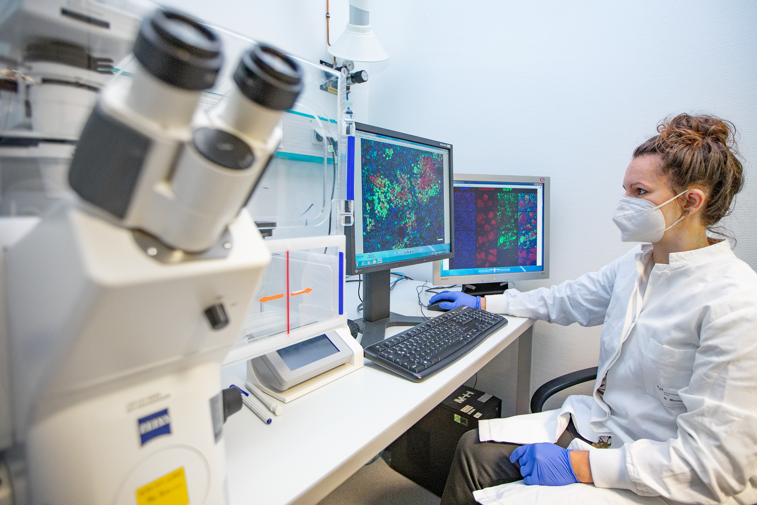 Molekularbiotechnologin Dr. Nadja Meumann sitzt vor zwei Bildschirmen mit Fluoreszenzaufnahmen von Leberzellen aus Maus und Mensch.