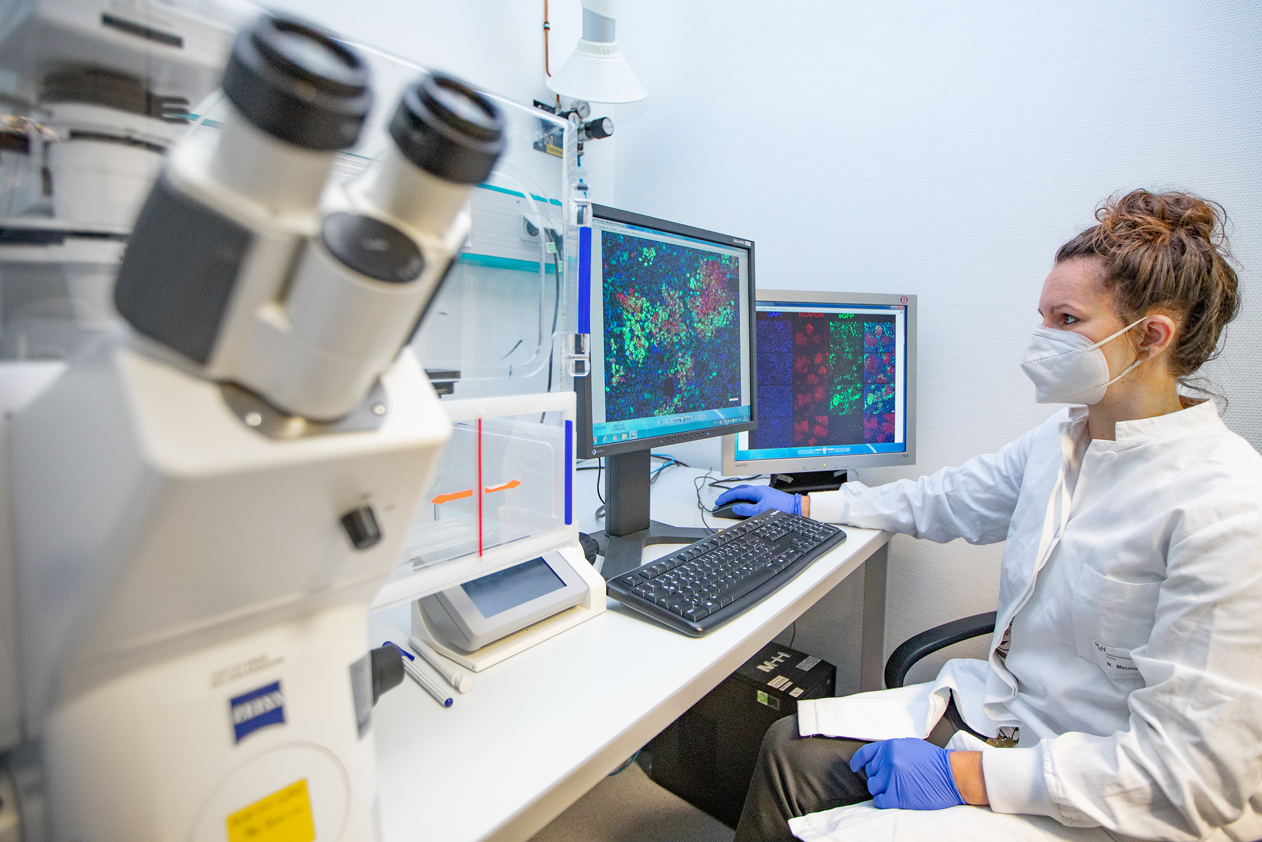 Molecular biotechnologist Dr Nadja Meumann sits in front of two screens showing fluorescence images of liver cells from mice and humans.