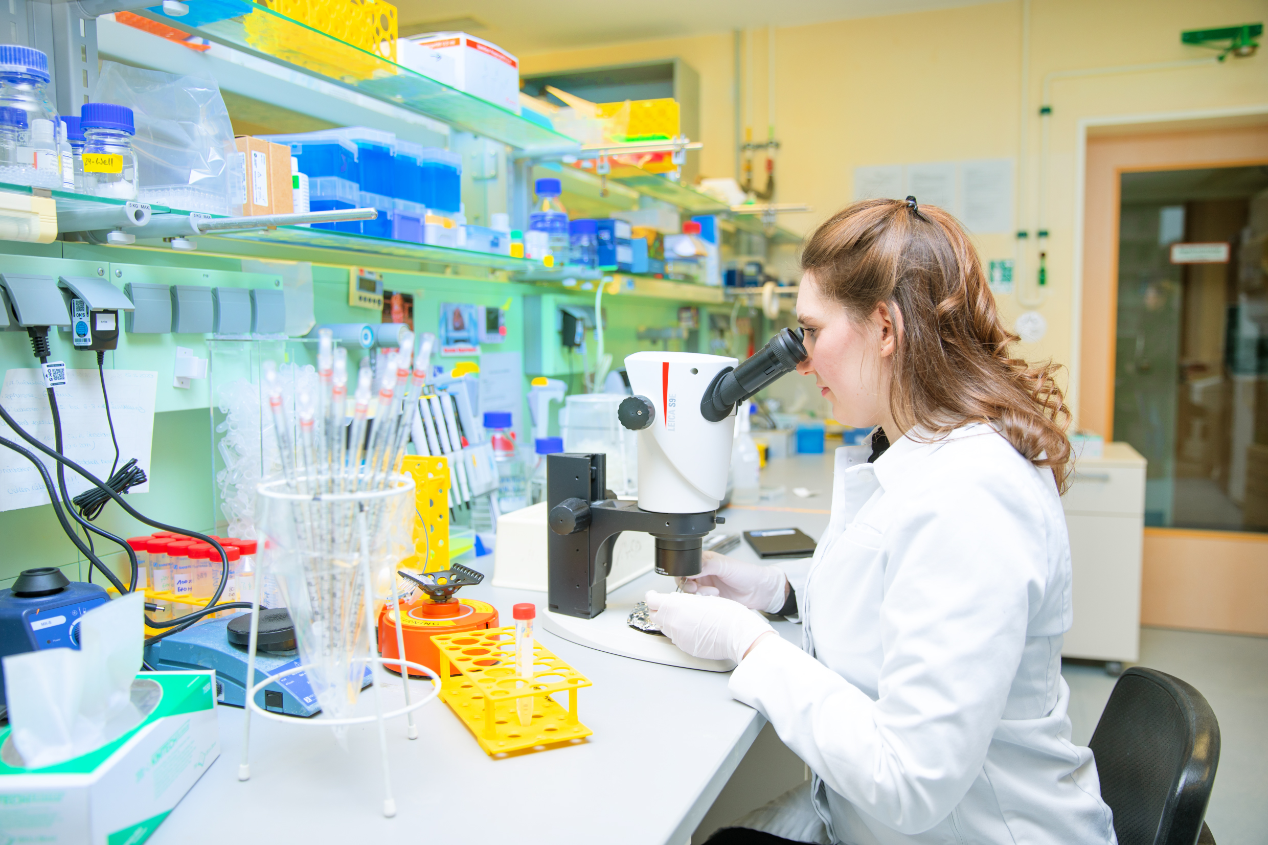 Dr Caroline Perner sits in front of a microscope in the laboratory.