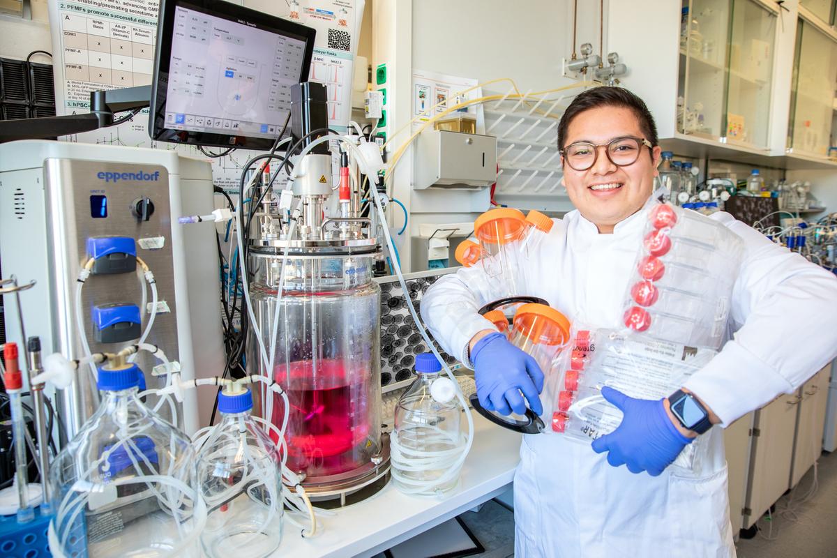 Ein Mann im weißen Kittel steht in einem Labor vor Glas-Bioreaktoren und hält Zellkulturbehälter aus Plastik in den Armen.