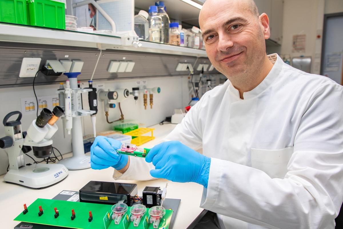 Ein Mann im weißen Kittel sitzt in einem Forschungslabor vor einem Untersuchungsaufbau für lebende Herzschnitte. 
