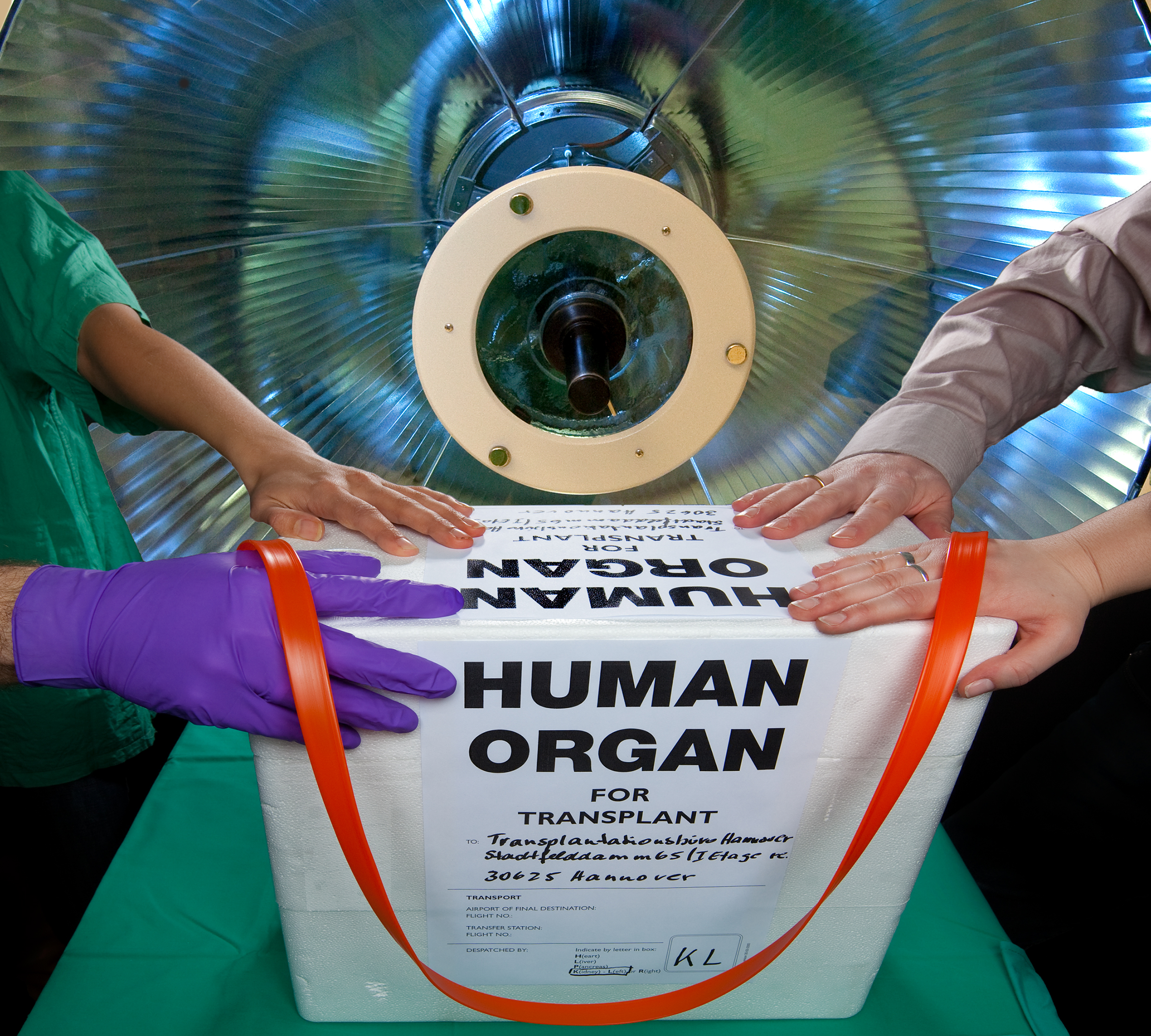 Eine Box für zu transplantierende Organe. Vier Hände liegen auf der Box. Copyright: Bodo Kremmin/MHH  