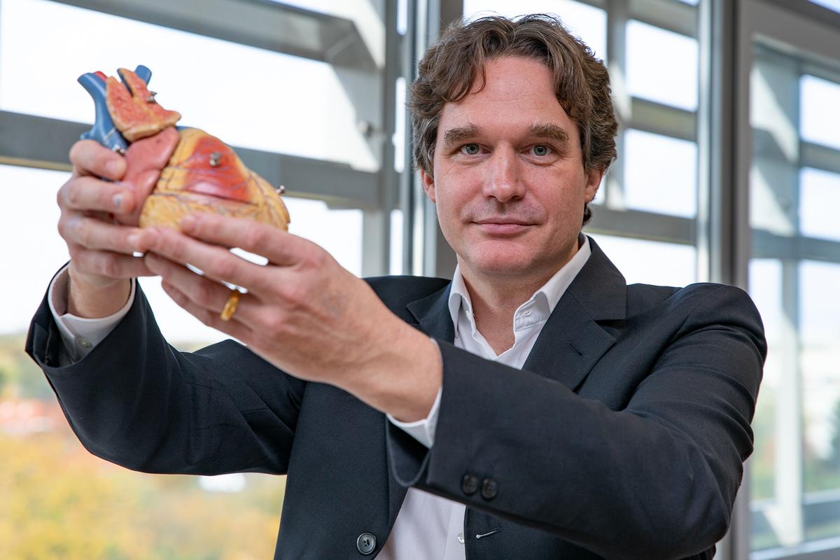 Professor Dr. Christian Wahl-Schott hält ein Modell des menschlichen Herzens in der Hand.