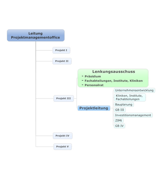 Projektorganisation Organigramm Projektorganisation