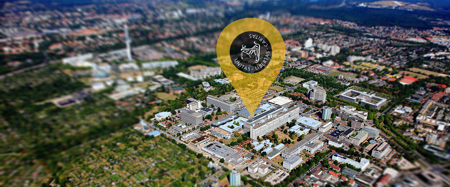 Medizinische Hochschule Hannover : Excellence Strategy 2025