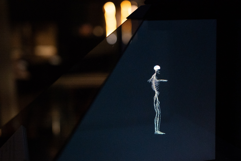 Hologramm eines weißen Skeletts auf schwarzem Grund