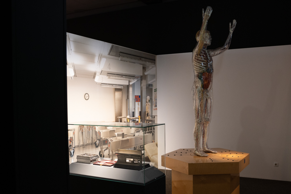 Auf einem Podest steht lebensgroße Figur, deren transparente Hülle den Blick auf innere Organe und Blutgefäße freigibt.