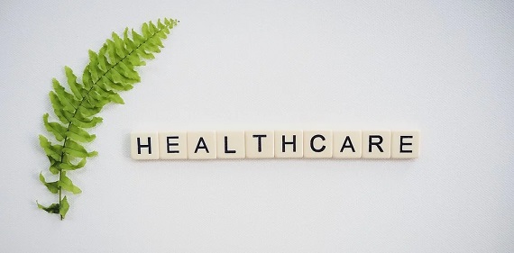 Auf der linken Seite ist das Blatt eines Farns zu sehen. In der Mitte bilden Spielsteine das Wort Healthcare.