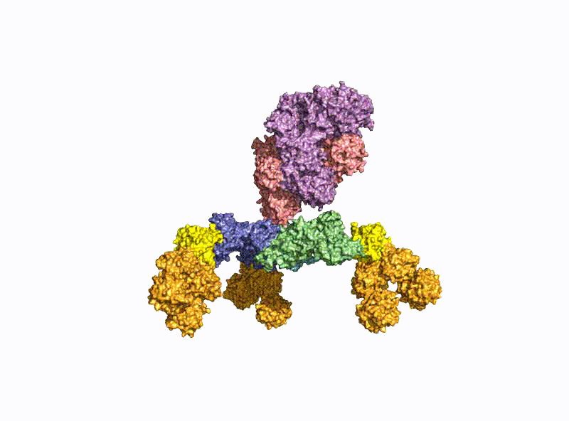Crystal structure of the 760 kDa BoNT (L-) complex