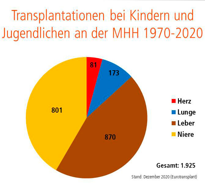 Tortendiagramm, dass die Verteilung der an der MHH transplantierten Organ bei Kindern und Jugendlichen zeigt, Copyright: MHH/Transplantationszentrum