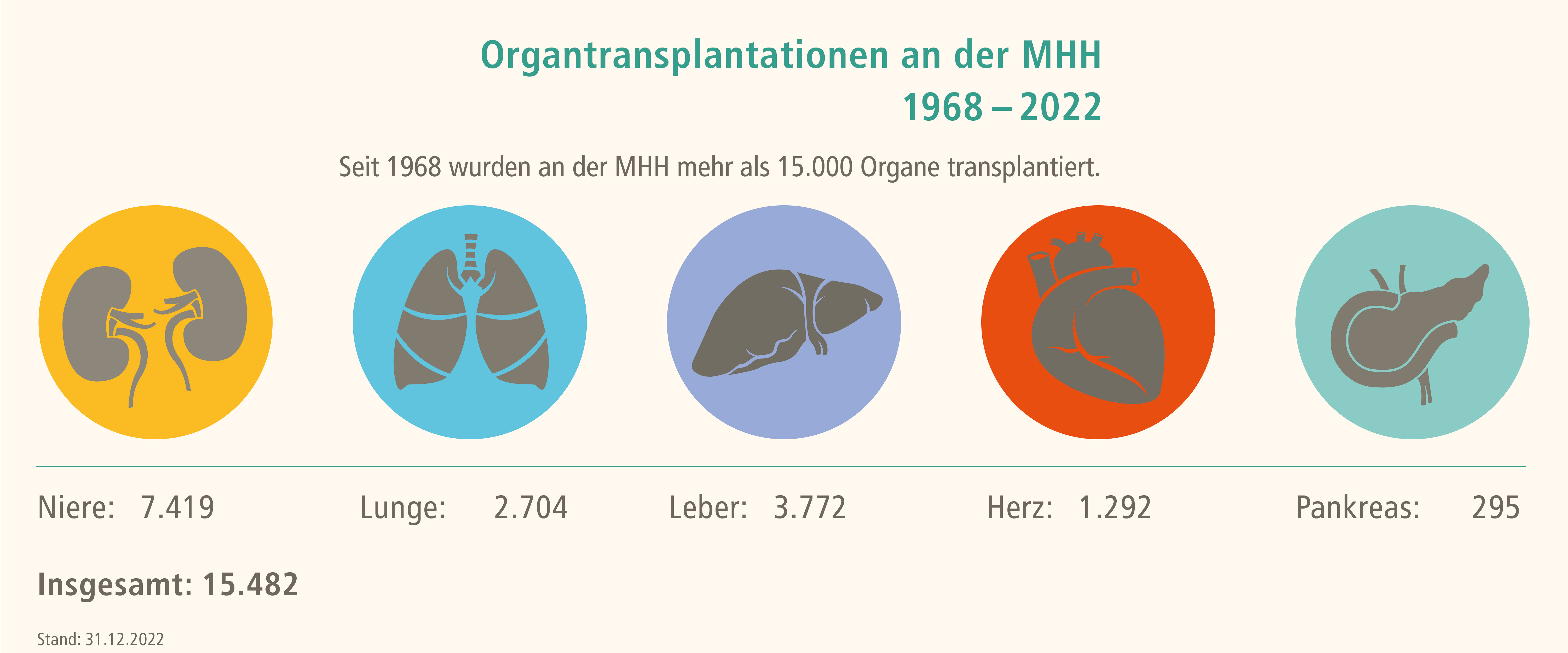 Seit 1968 wurden an der MHH mehr als 15.000 Organe transplantiert. 7.419 Nieren, 2.704 Lungen, 3.772 Lebern, 1.292 Herzen und 295 Bauspeicheldrüsen. Ende 2022 waren es insgesamt 15.482 Organe. Copyright: MHH /Transplantationszentrum  