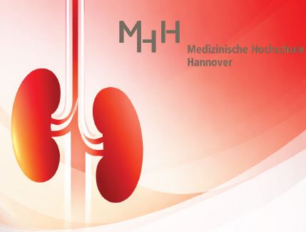 Copyright: MHH/Nephrologie