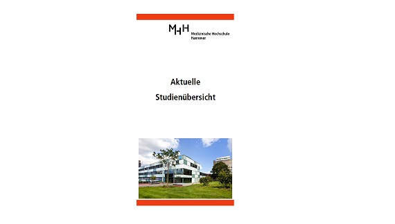 Ansicht des Titelblattes des Studien-Flyers, Copyright: Klinik für Urologie/MHH