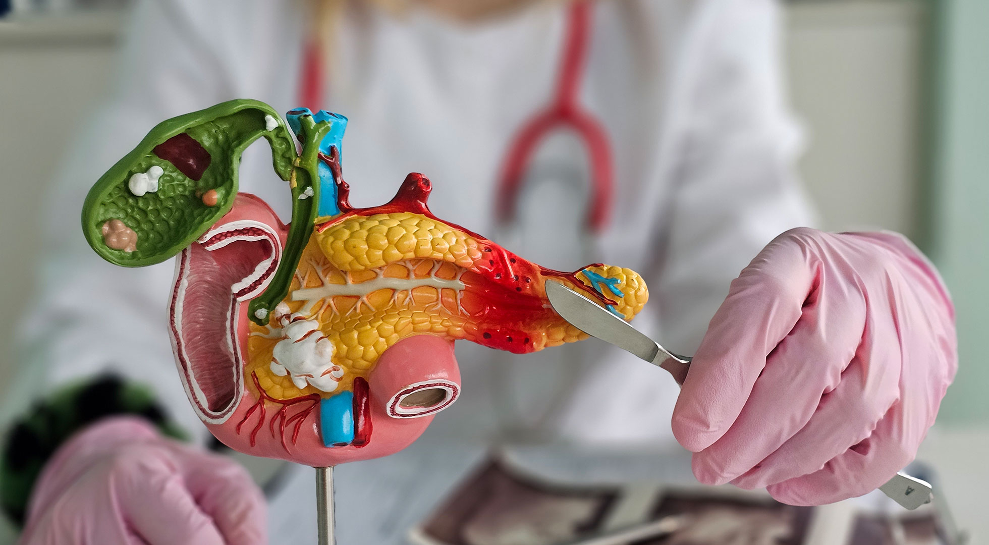 Bild zur Veranstaltung